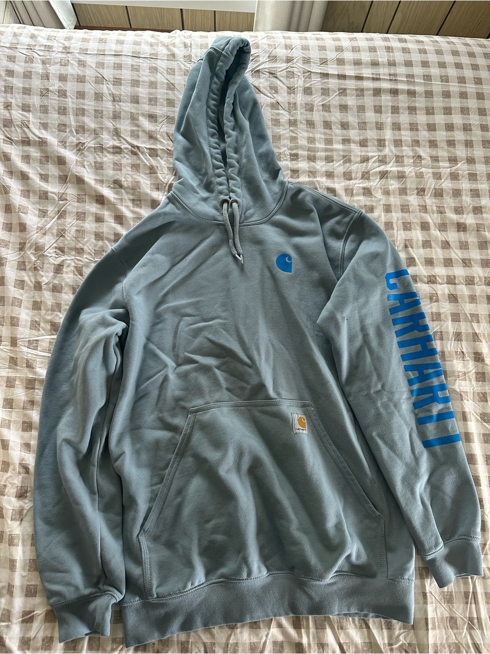 Carhartt Men’s Dusty Blue Zip-Up Hoodie with Blue Logo Sleeve
